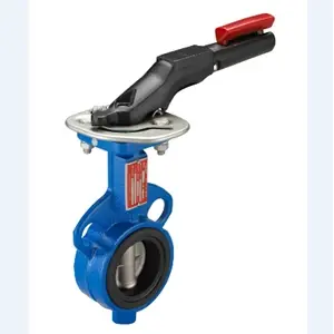 Wyeco Precision Valve V3